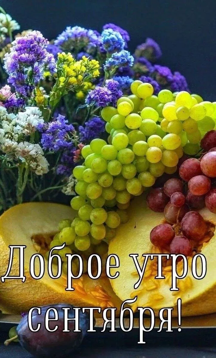С ДОБРЫМ УТРОМ, ЖИТЕЛИ НОВОПСКОВСКОГО МУНИЦИПАЛЬНОГО ОКРУГА!