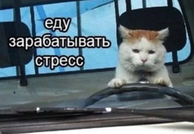 Доброе вторниковое!