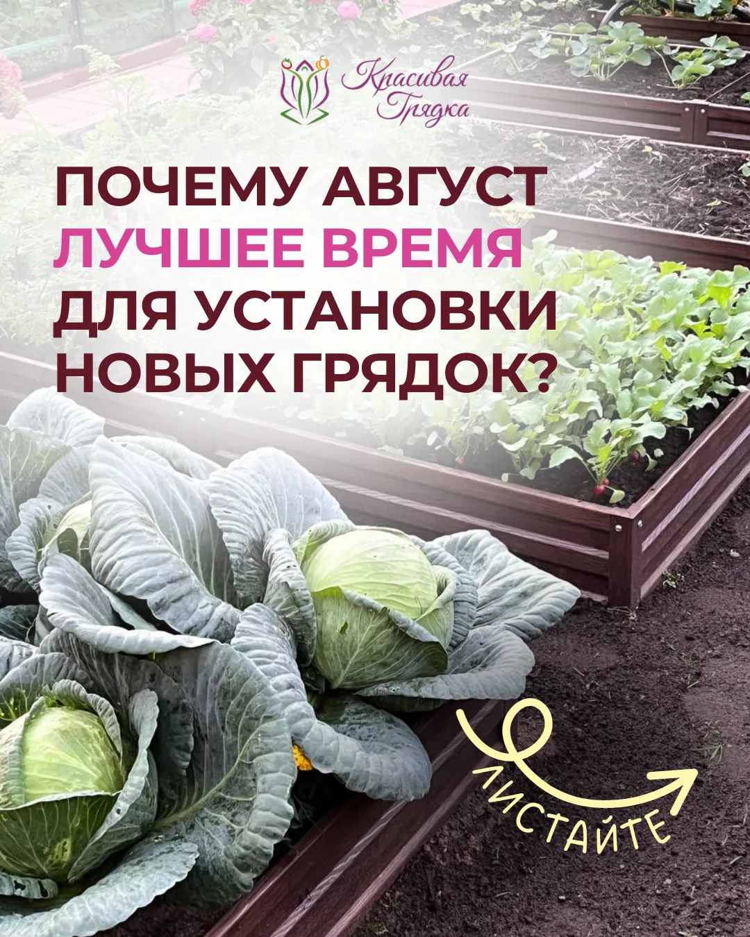 🌿 Почему август — лучшее время для установки новых грядок?