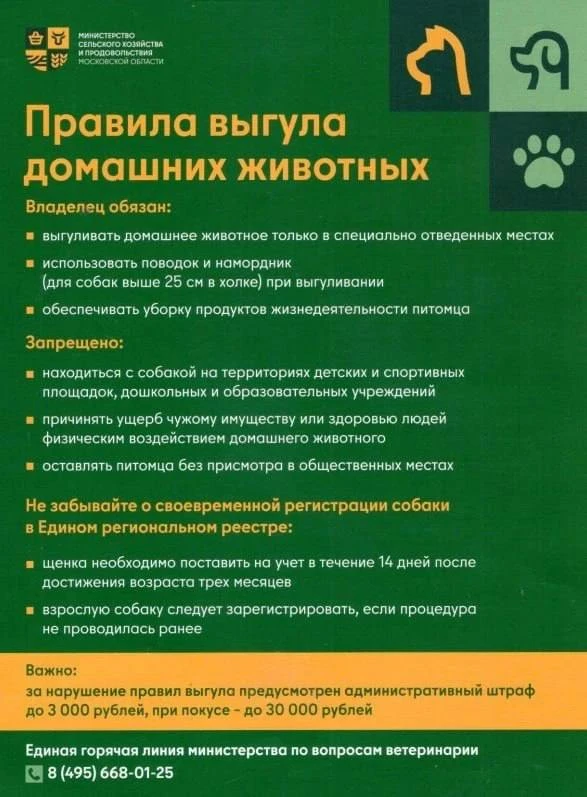 Жителям Подмосковья напомнили о правилах выгула домашних животных.