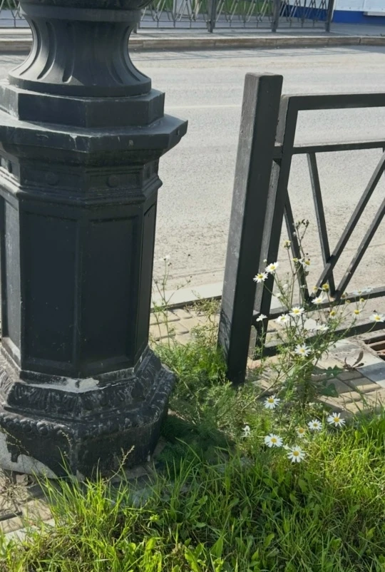 Присылайте Ваши фото в "Предложить пост"