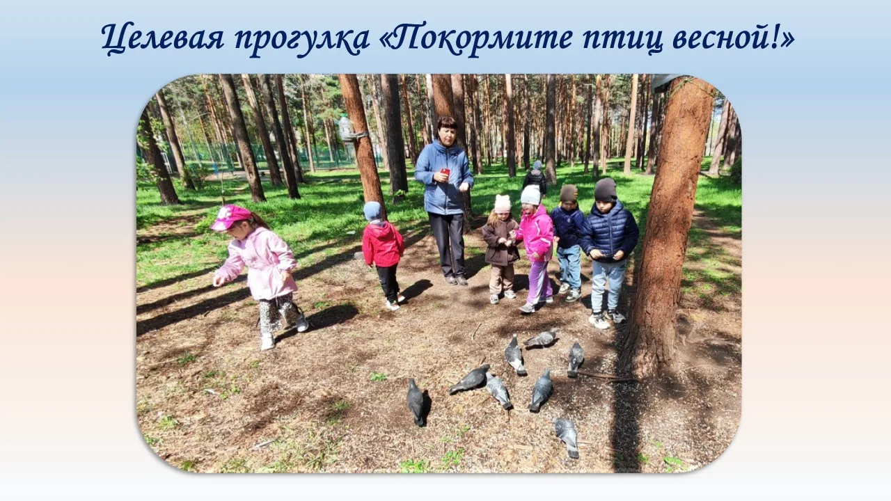 В средней группе №3 «Колокольчики» прошла интересная целевая прогулка «Покормите птиц в...