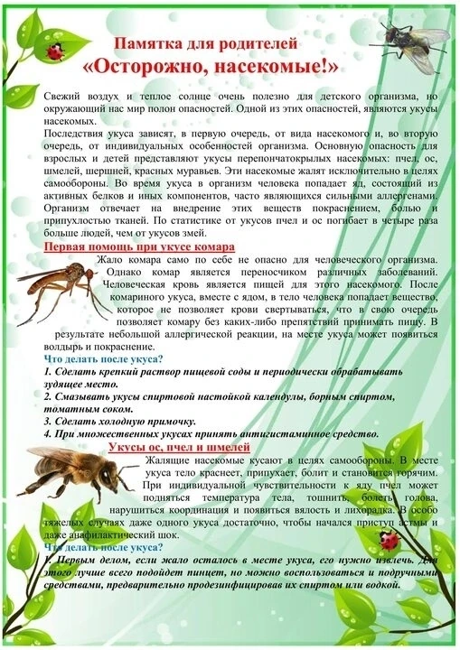 Памятка для родителей
" Осторожно, насекомые! "