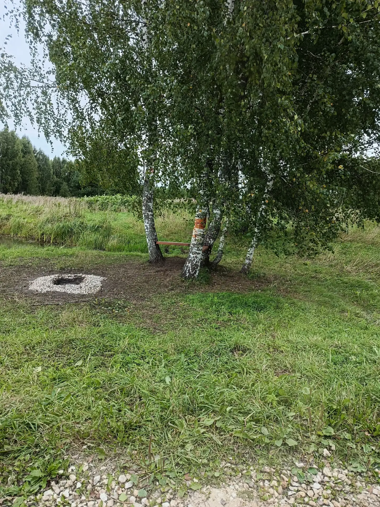 Молодежь у нас в д. Рябитновка умнейшая! Организовали себе уютное местечко с костром!Вс...