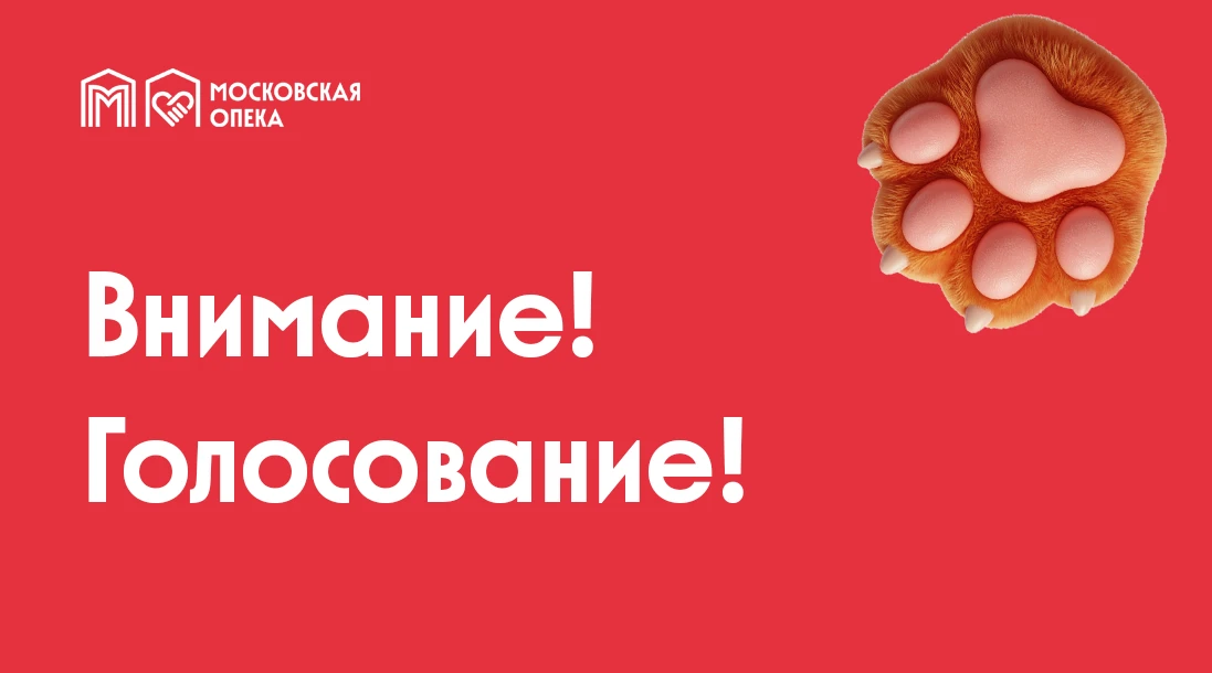 Недавно в социальных сетях Департамента добрых дел мы рассказали   о нашем закрытом кан...