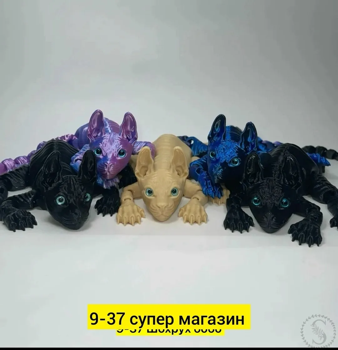 https://vk.com/photo-184814919_492143682