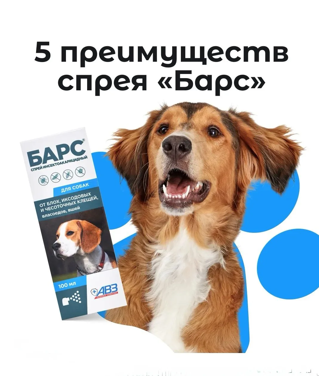 🍂Золотая осень — время прогулок по шуршащей листве. Но вместе с похолоданием сезон акт...