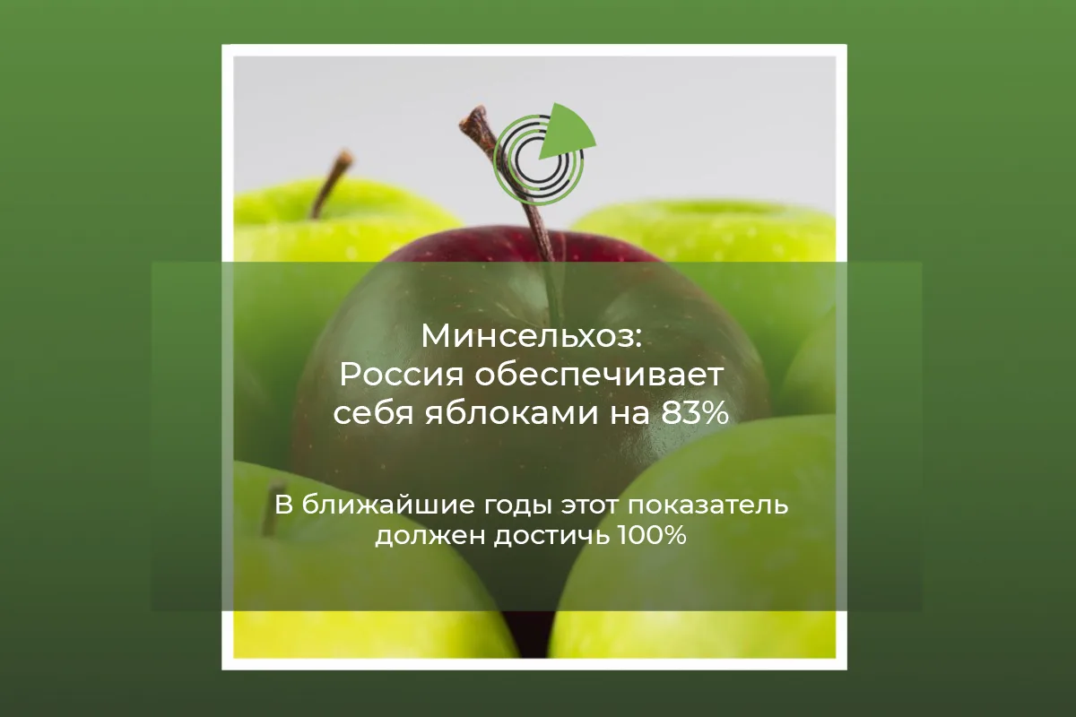 МИНСЕЛЬХОЗ: РОССИЯ ОБЕСПЕЧИВАЕТ СЕБЯ ЯБЛОКАМИ НА 83%