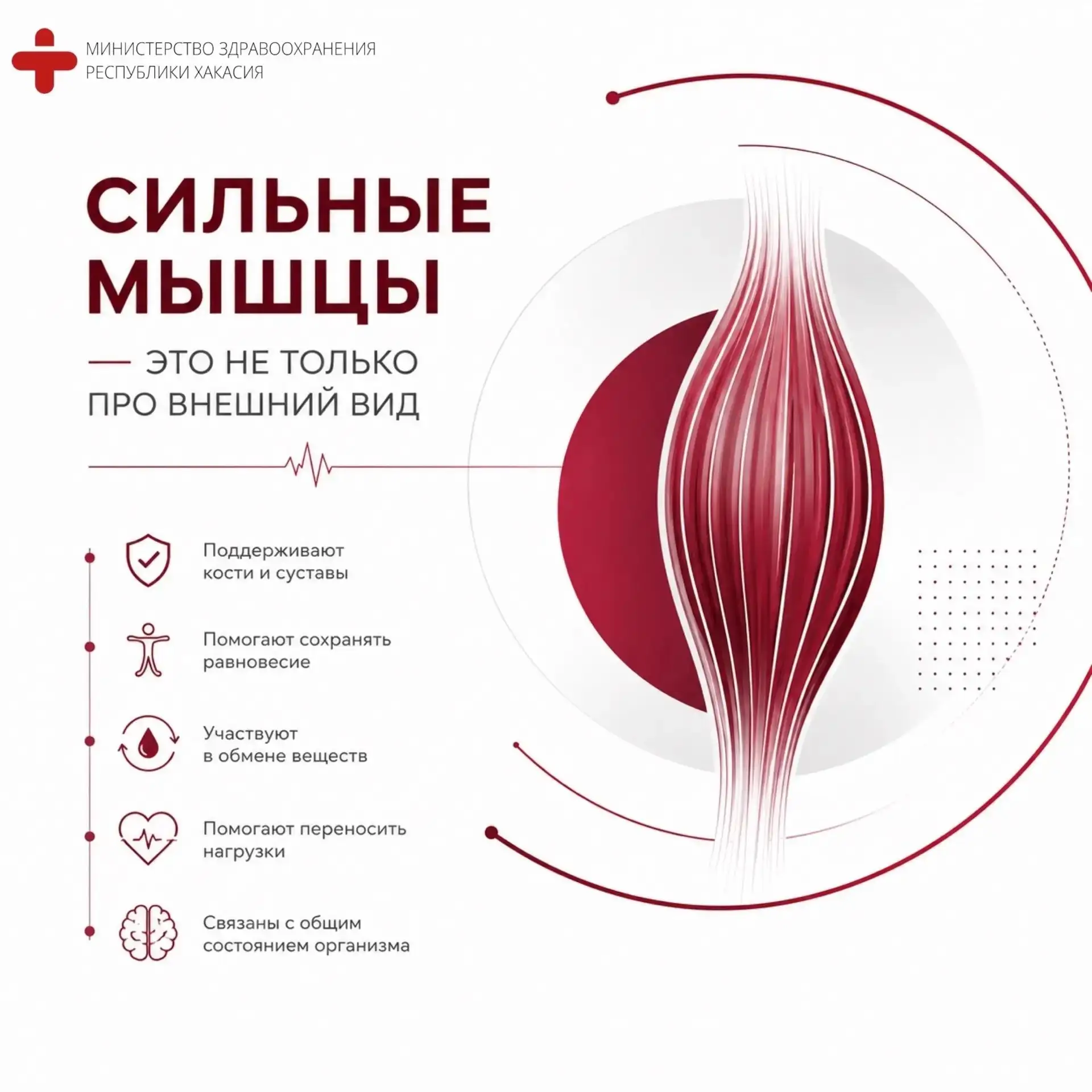💪 Сильные мышцы — это не только про внешний вид