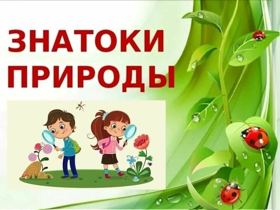 Тематическая неделя «Знатоки природы» прошла успешно! Она помогла детям сделать первые ...