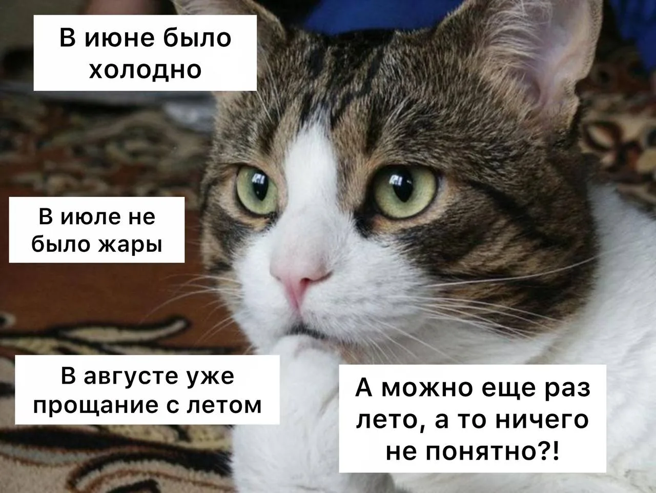 Жары в этом сезоне больше не будет, — синоптики

В субботу и в воскресенье будет до +25 градусов — э