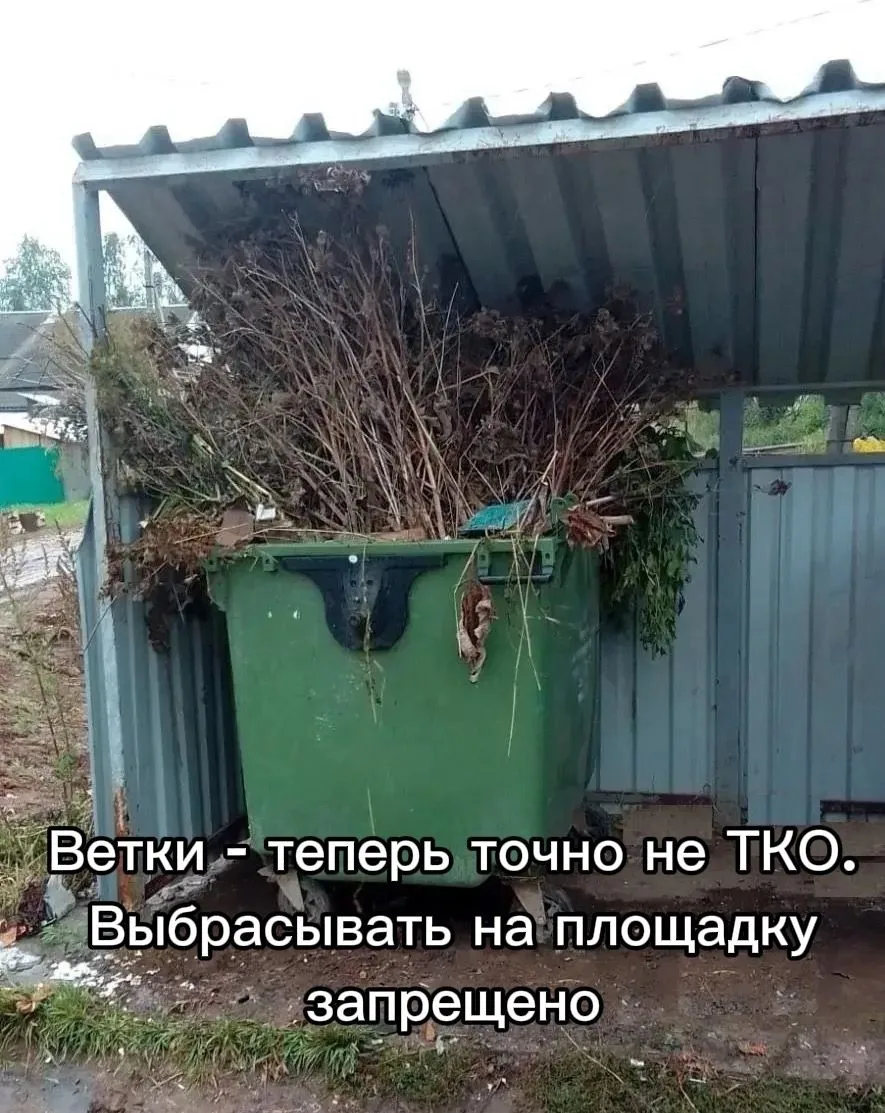 Ветки – теперь точно не ТКО