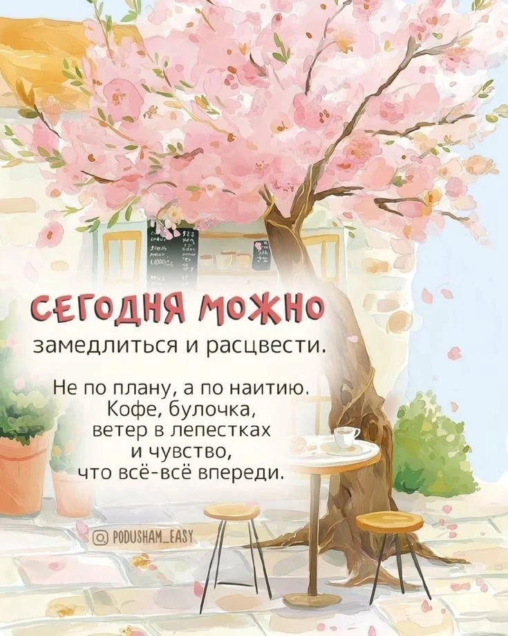🌞 Доброе утро, друзья !