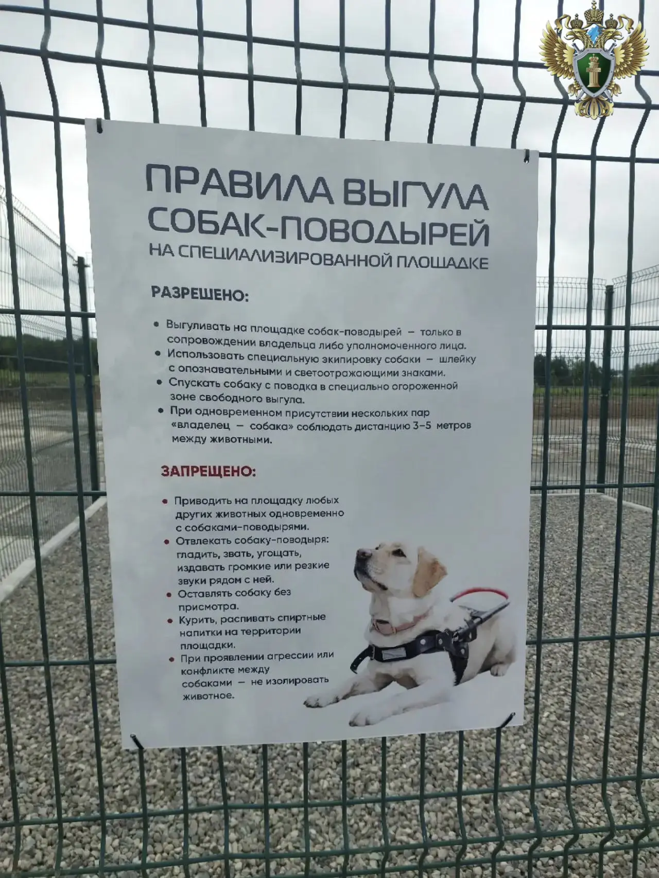 По требованию Камчатской транспортной прокуратуры на территории аэропорта организована ...