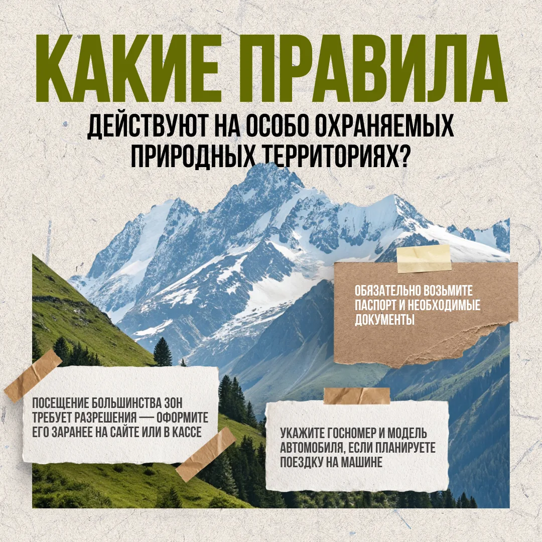 🌲Заповедники, национальные парки, заказники и ботанические сады охраняются государством.