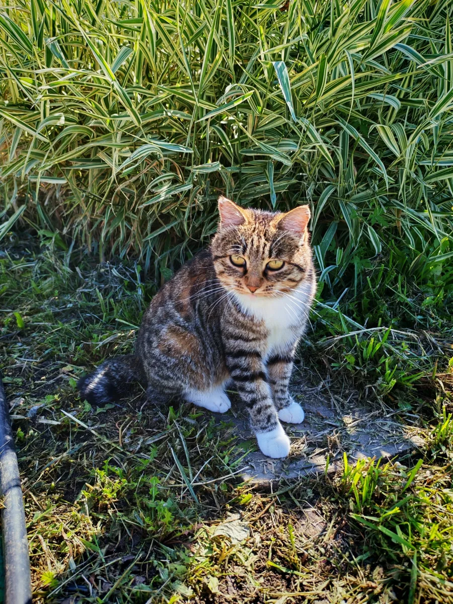 Лето, мы будем скучать 😿