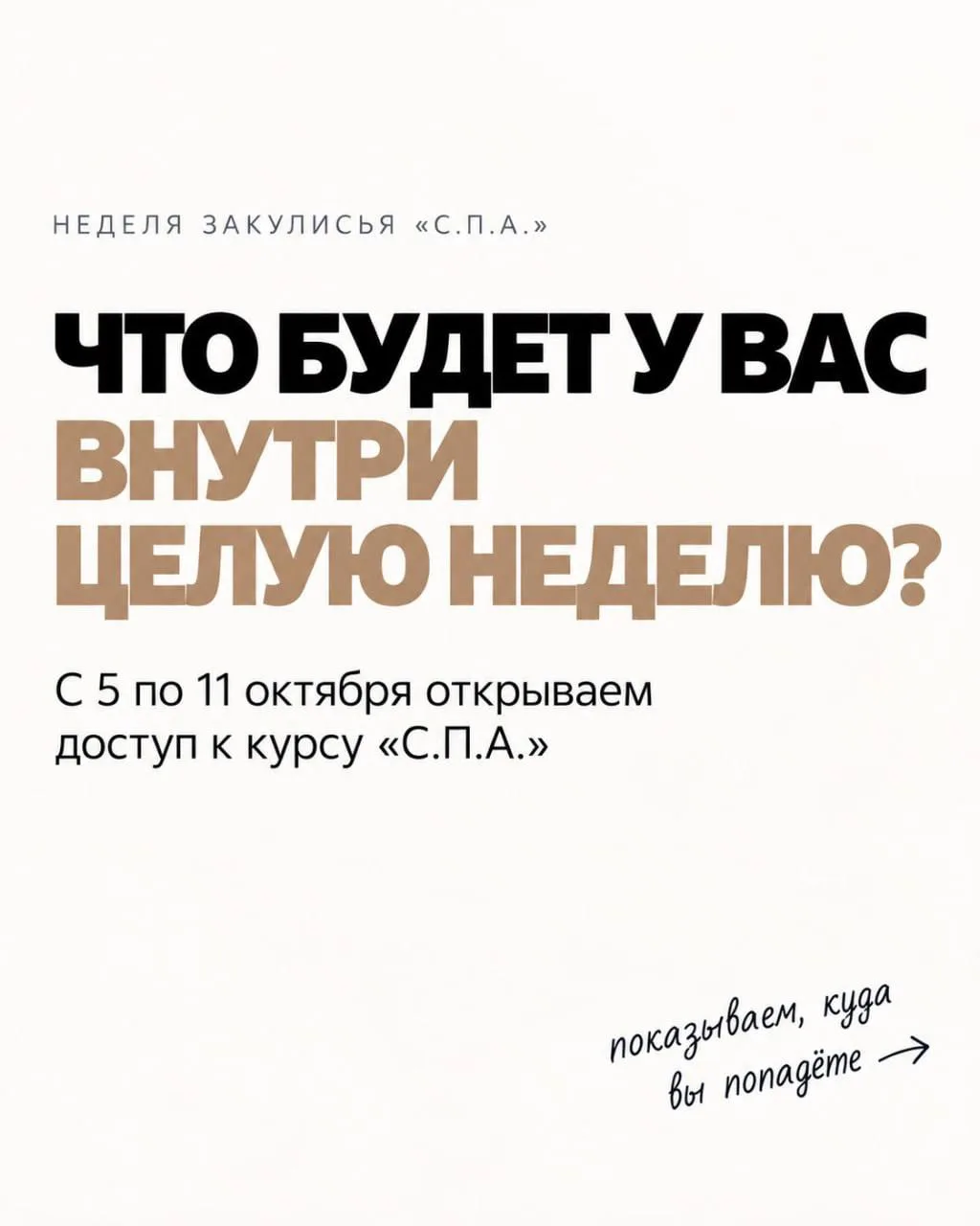 КАК ВЫГЛЯДИТ НЕДЕЛЯ ЗАКУЛИСЬЯ «С.П.А.»? 👀