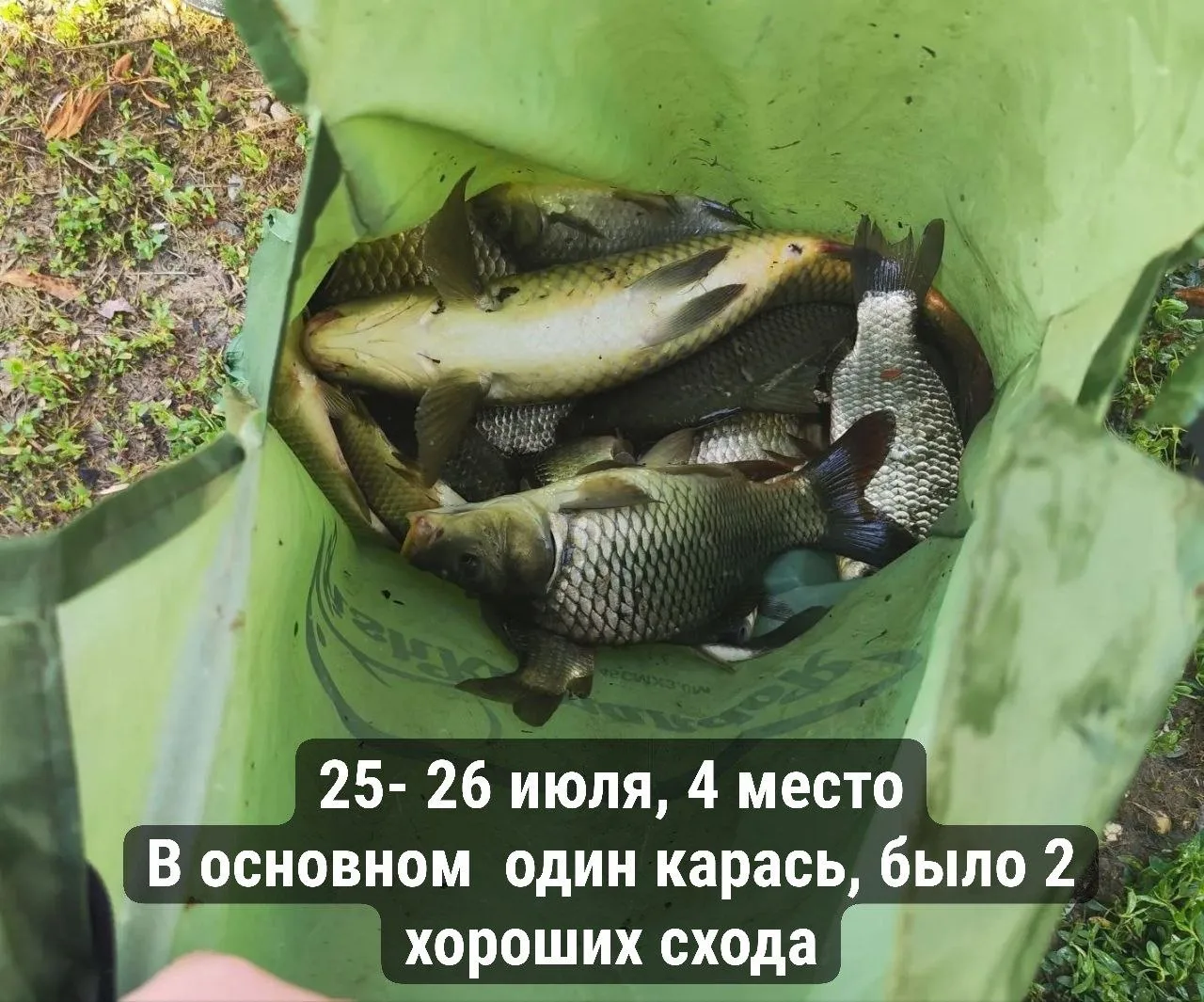 МОРОЗОВСКИЕ ПРУДЫ

▪️инфо о водоеме в ТГ
▪️инфо о водоеме в Max
▪️чат рыбаков Майкопа

#морозовские 