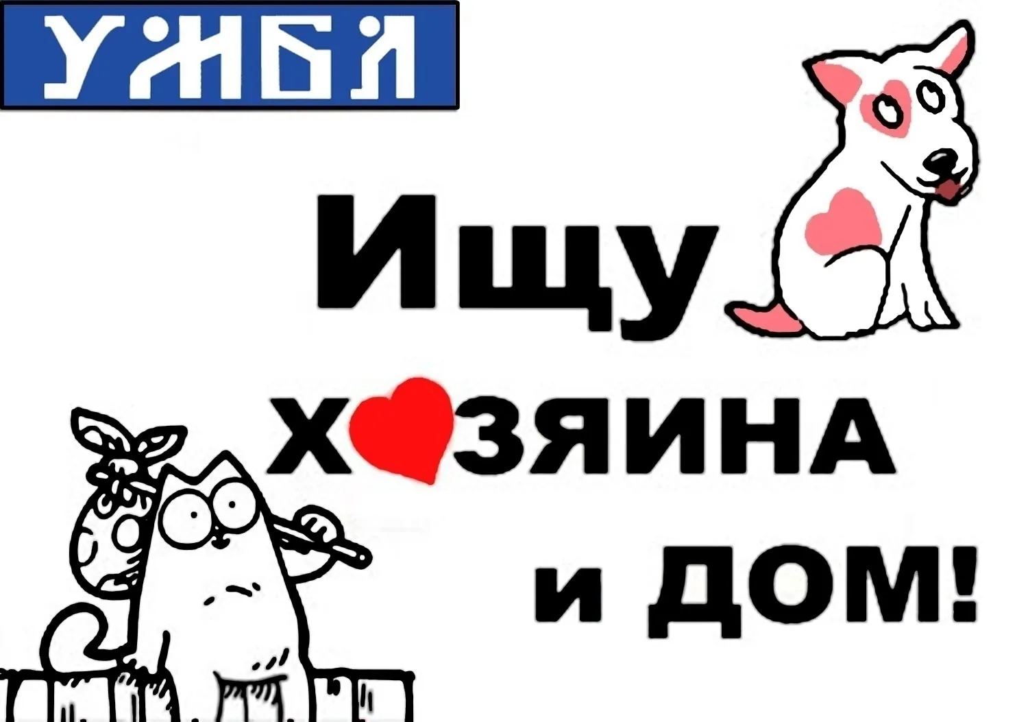Все объявления об устройстве животных в добрые руки.