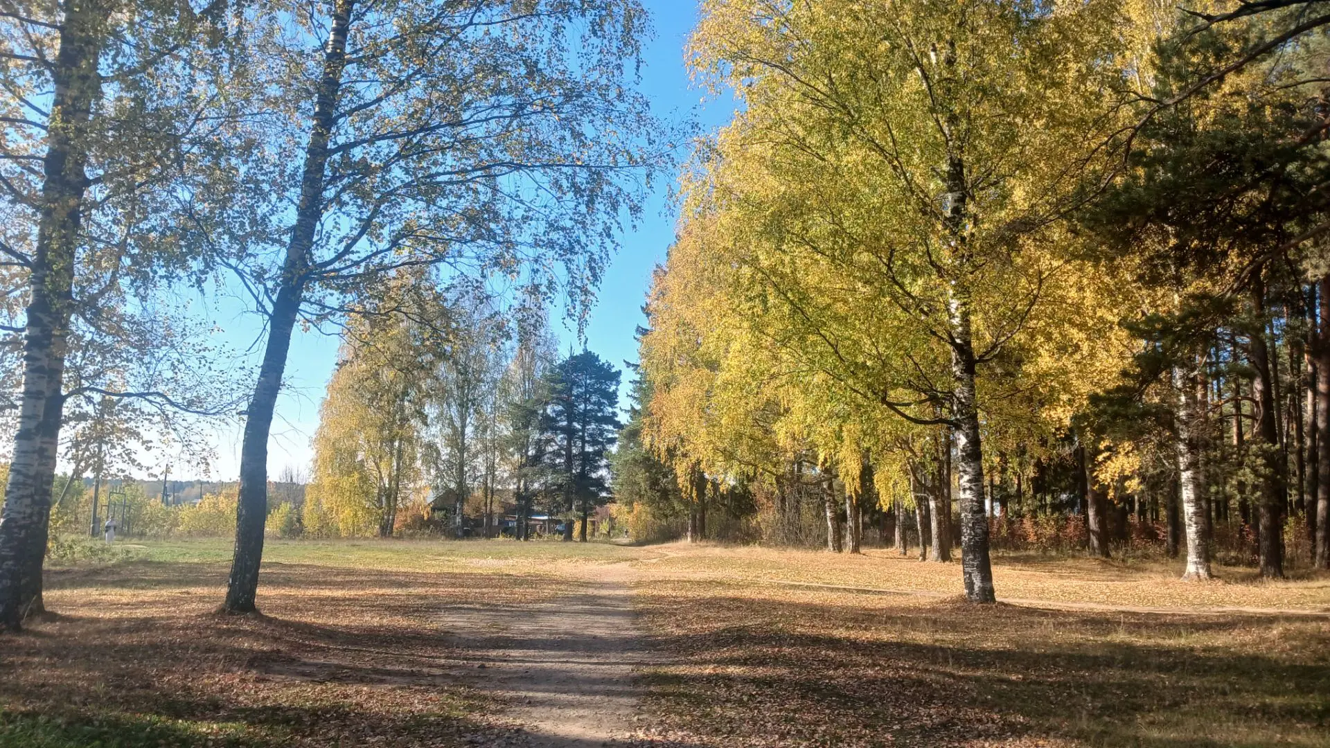 🌦Погода по Кировской области