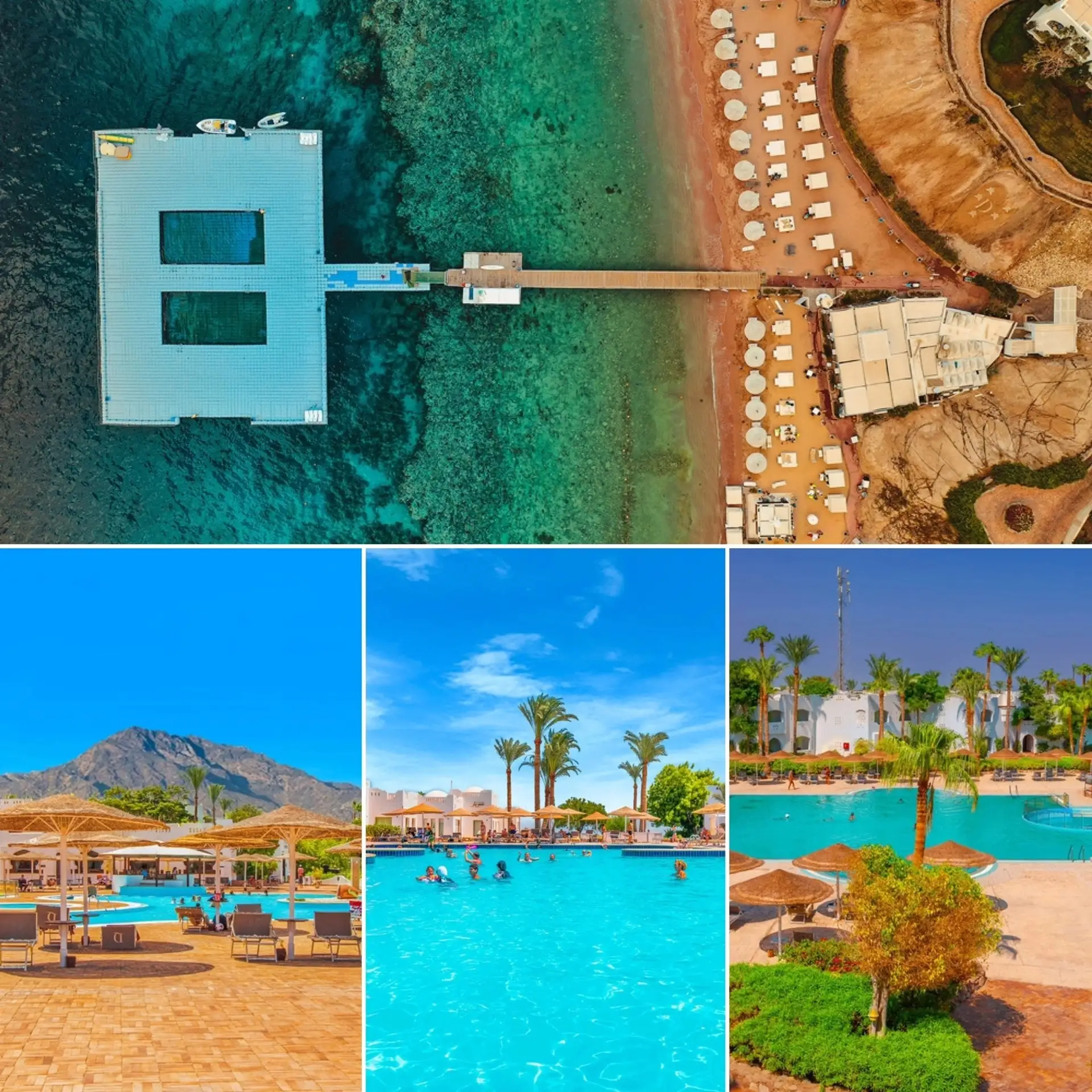 🍋ЕГИПЕТ - ШАРМ
Domina Coral Bay Oasis 5*

14 августа на 6 ночей все включено 182 000 руб

♻Забронир