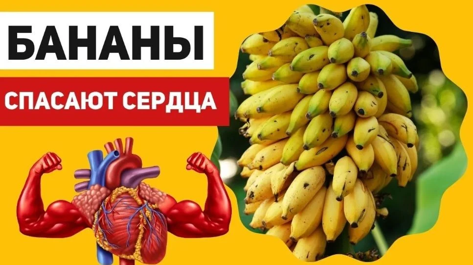 https://vk.com/wall-228384160_372