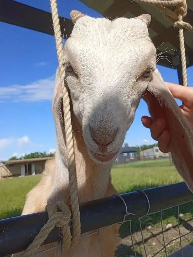 💥ВЕСËЛЫЕ КАНИКУЛЫ💥

🌞В рамках выполнения плана летней тематической площадки обучающиеся 4-А класс