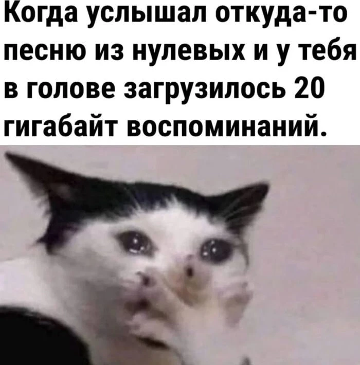 Мам, я меломан

П: «Дмитрий Сергеевич, мой сын вообще не вытаскивает наушники из ушей. Ест с музыкой