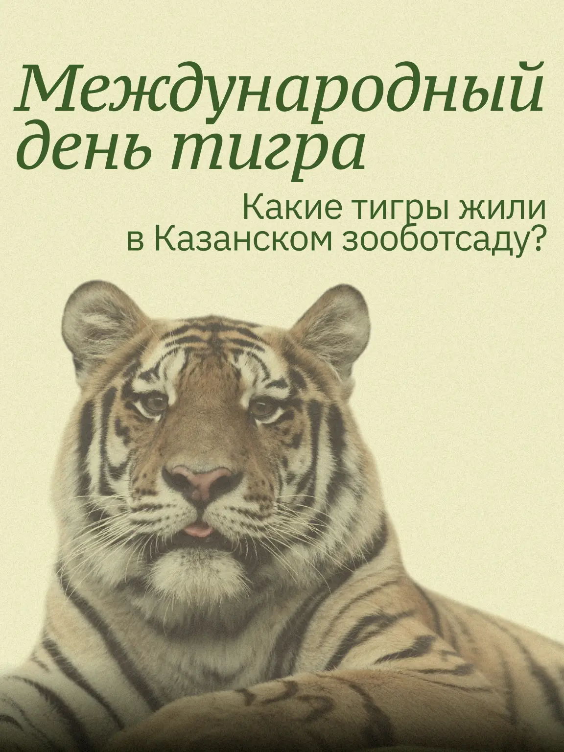 В Международный день тигра решили вспомнить историю полосатых обитателей зооботсада🐯

А вы знали, ч