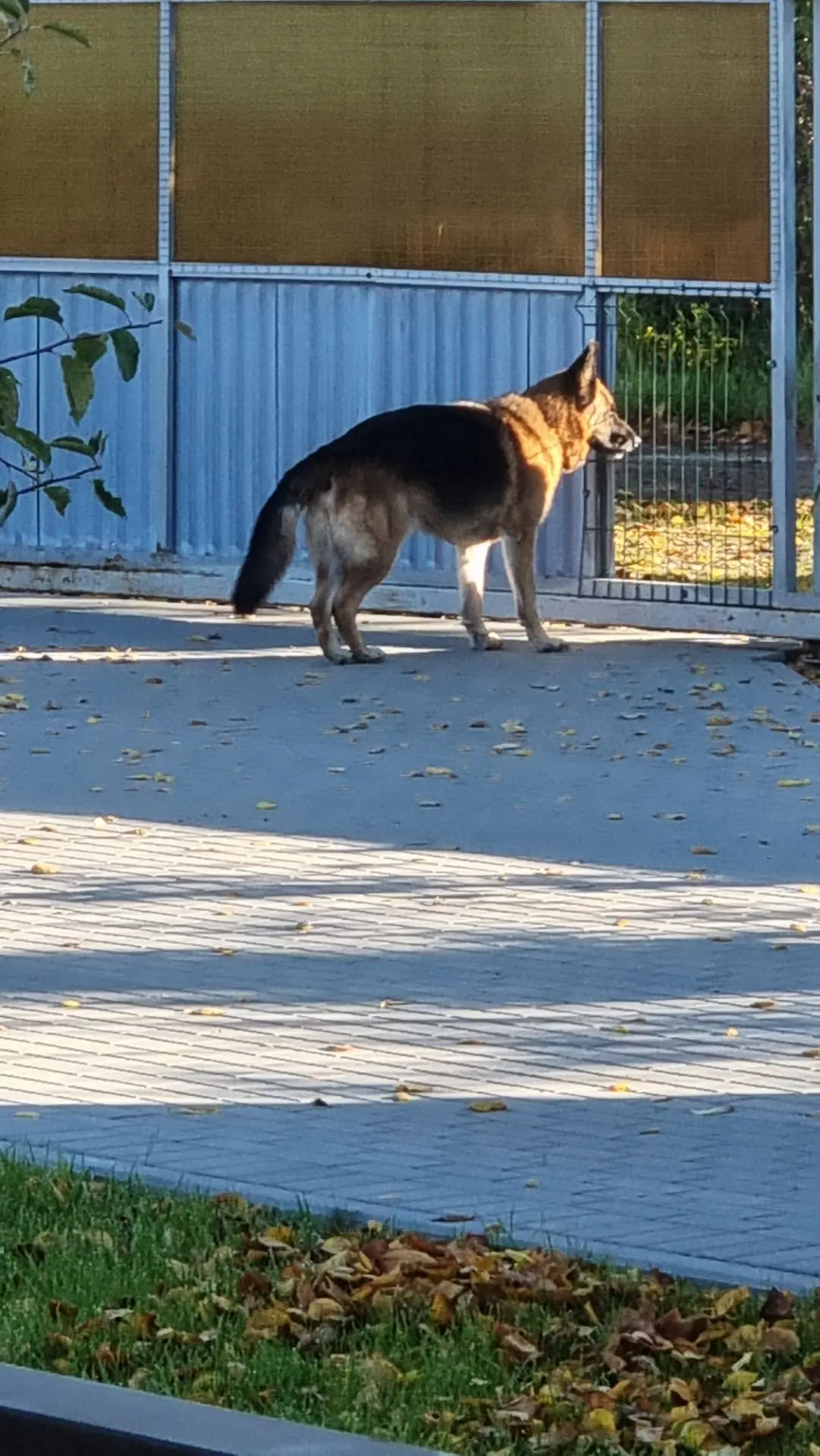 Доброе утро❣️