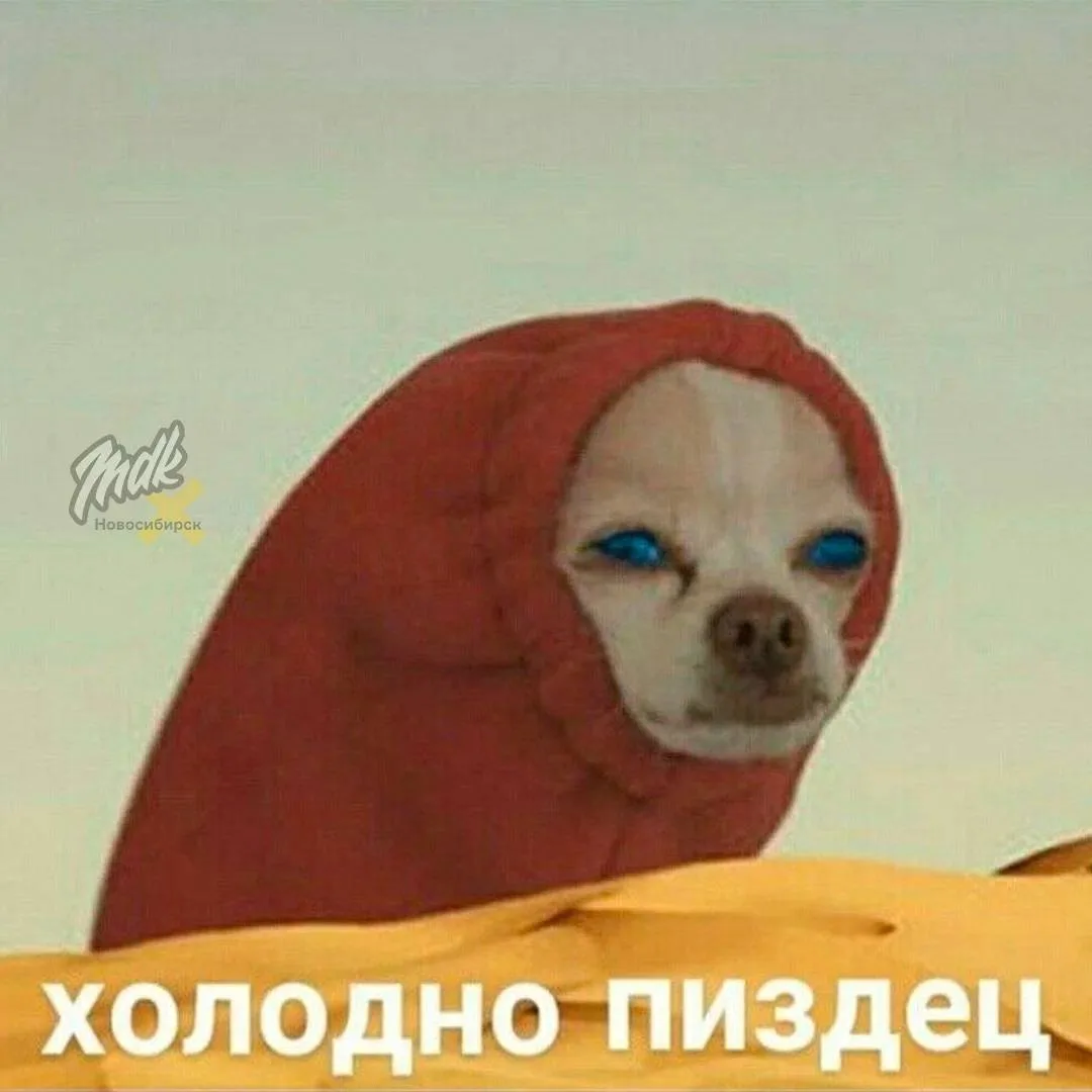Коротко о погоде в Нск
