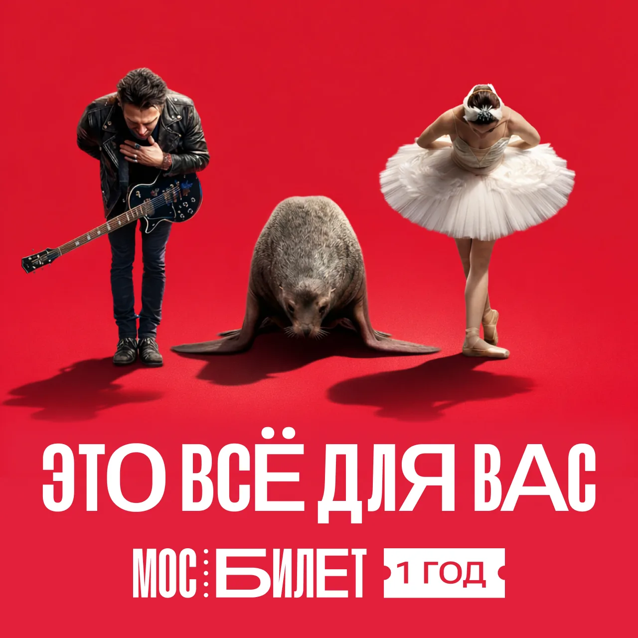 🗓 «Мосбилету» — 1 год!