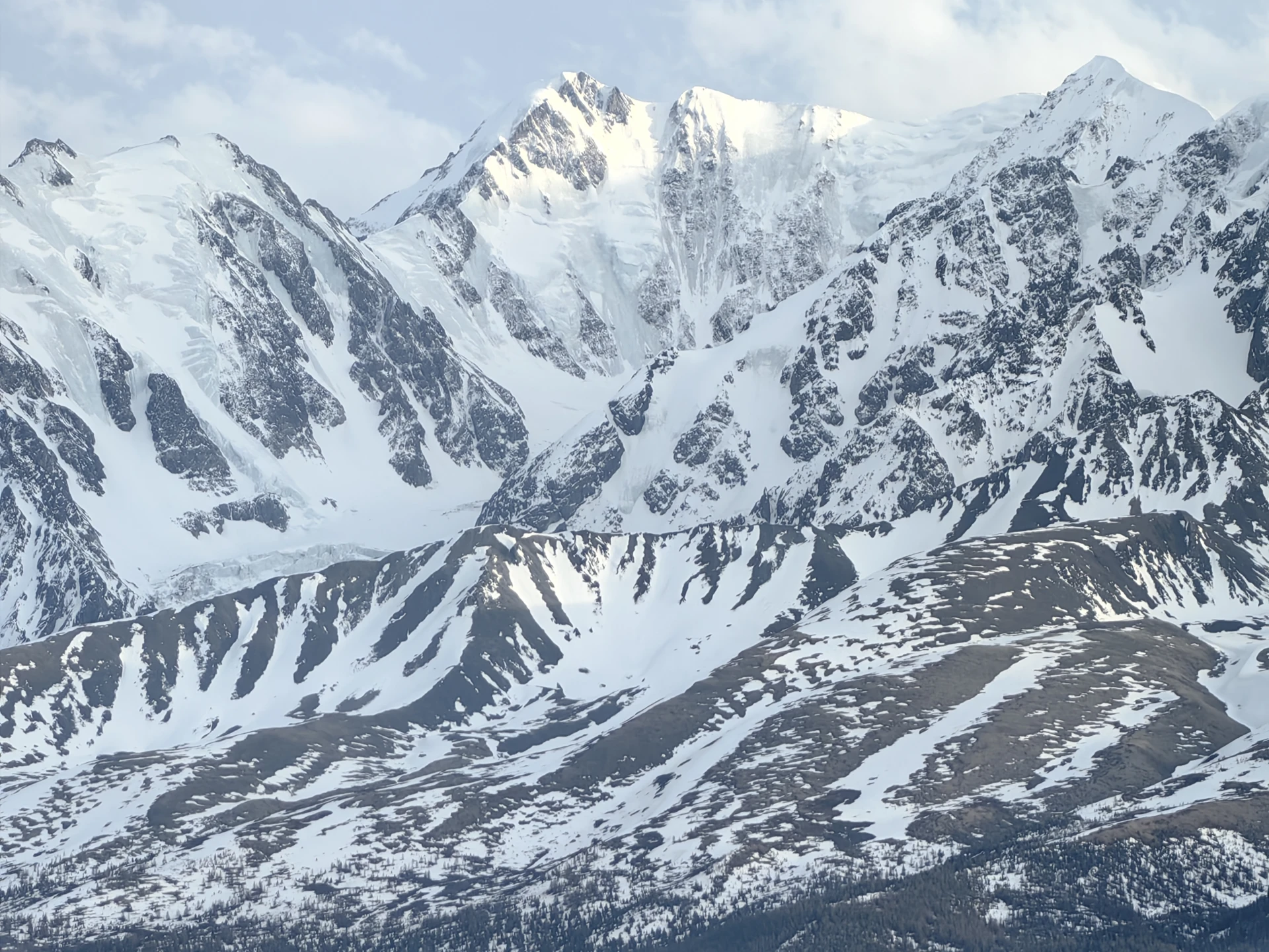 🏔 Масштаб, от которого захватывает дух. Осенняя Курайская степь — это желтый ковер под...