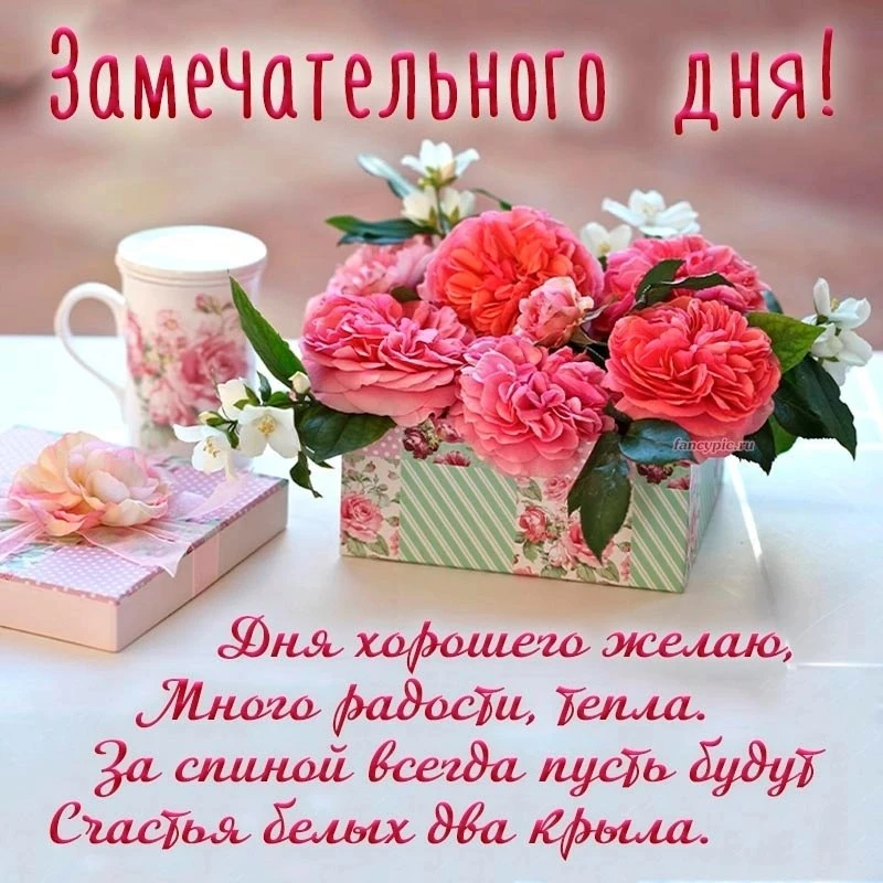 🌼Прикольные открытки
