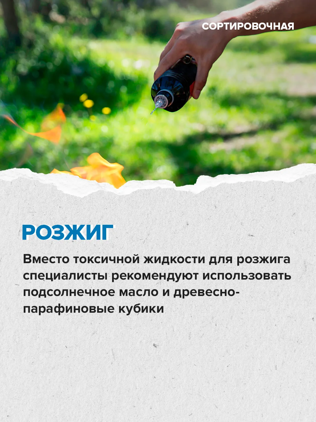 🍢 В пяти парках Москвы уже можно забронировать места для пикника  ⬆️ Как провести время на природных