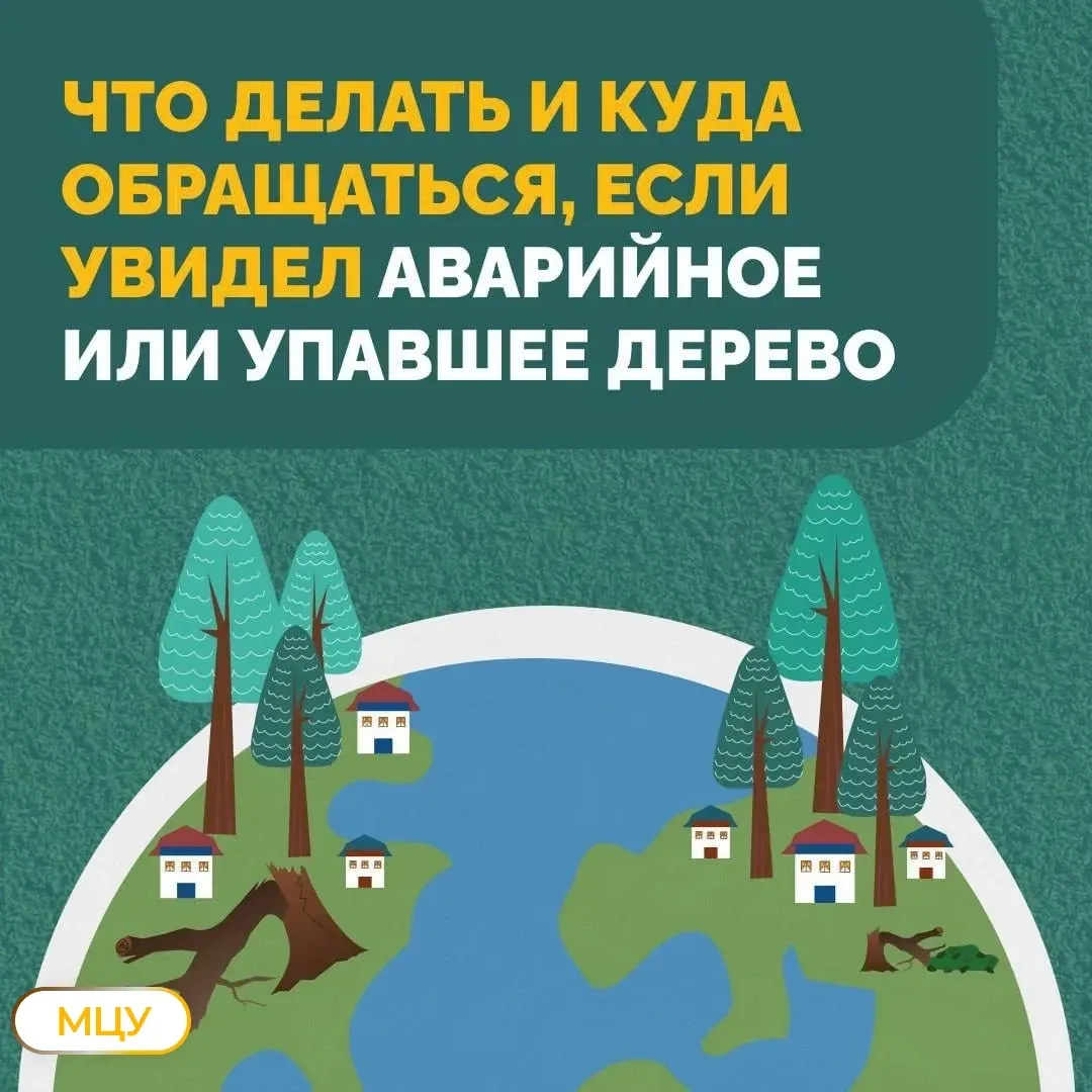 💨  В городе усиливается ветер