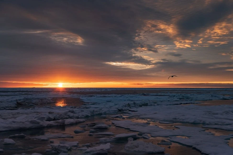 Фото дня