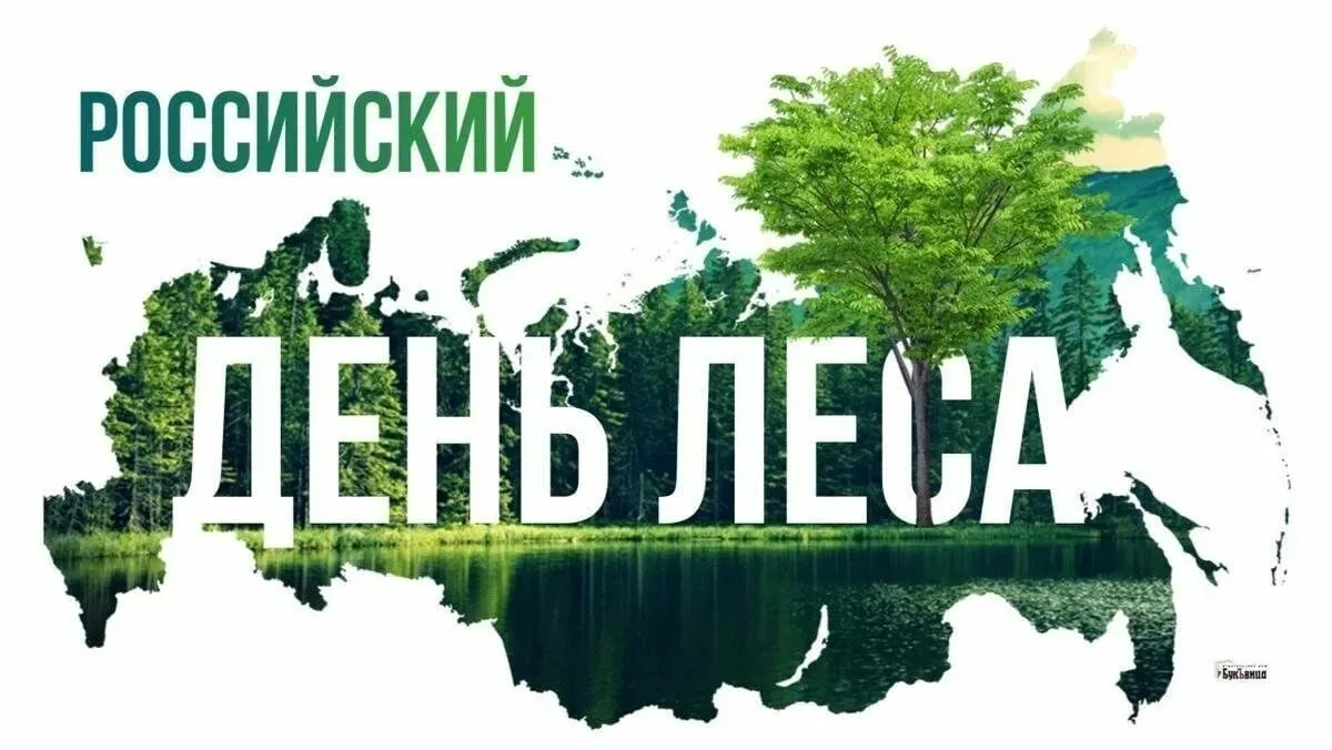 Доброе утро!