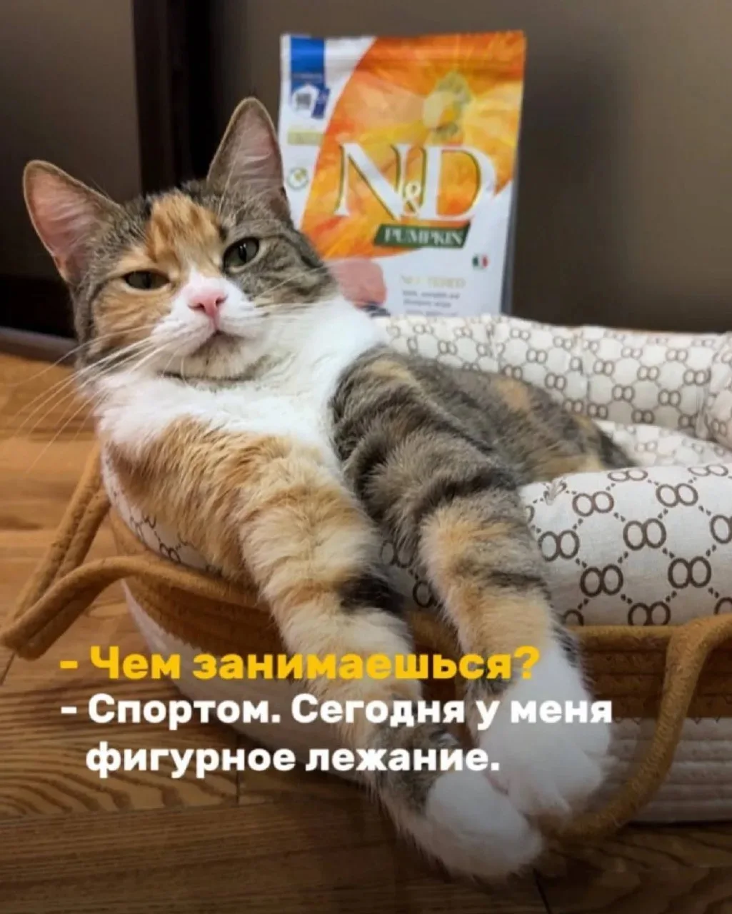 😁Православные тоже шутят - Позитивный канал, с доброй и душевной атмосферой.