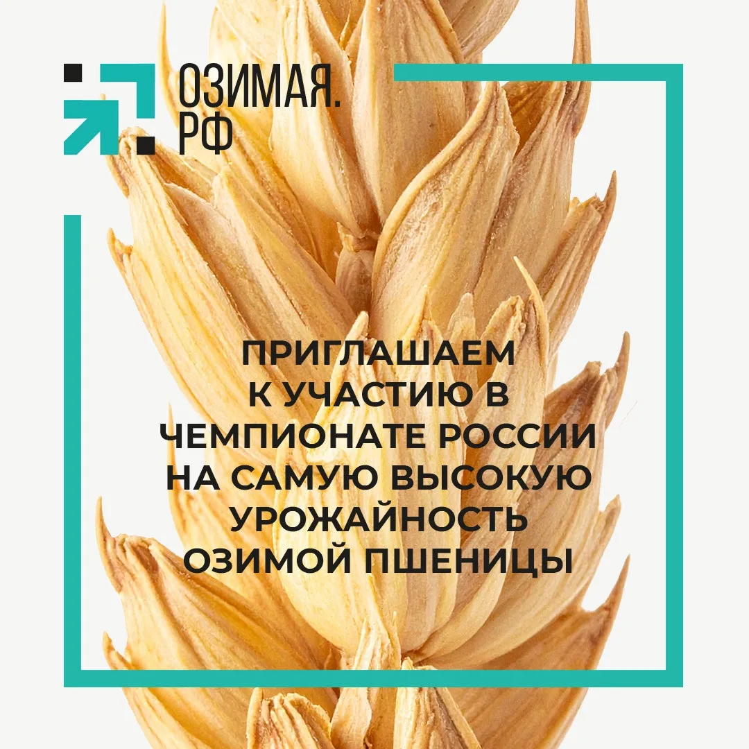 Стартовал первый в России публичный турнир по урожайности озимой пшеницы на реальном поле! 

Каждый 