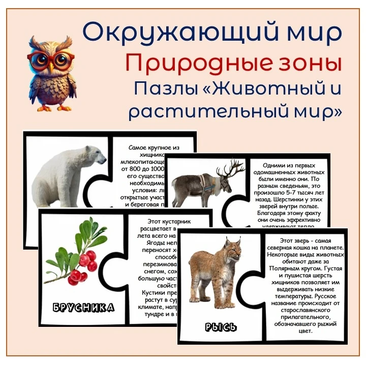 22 карточки - пазлы "Животный и растительный мир России" - в 🎁 !

Благодарю, друзья, за интерес к м