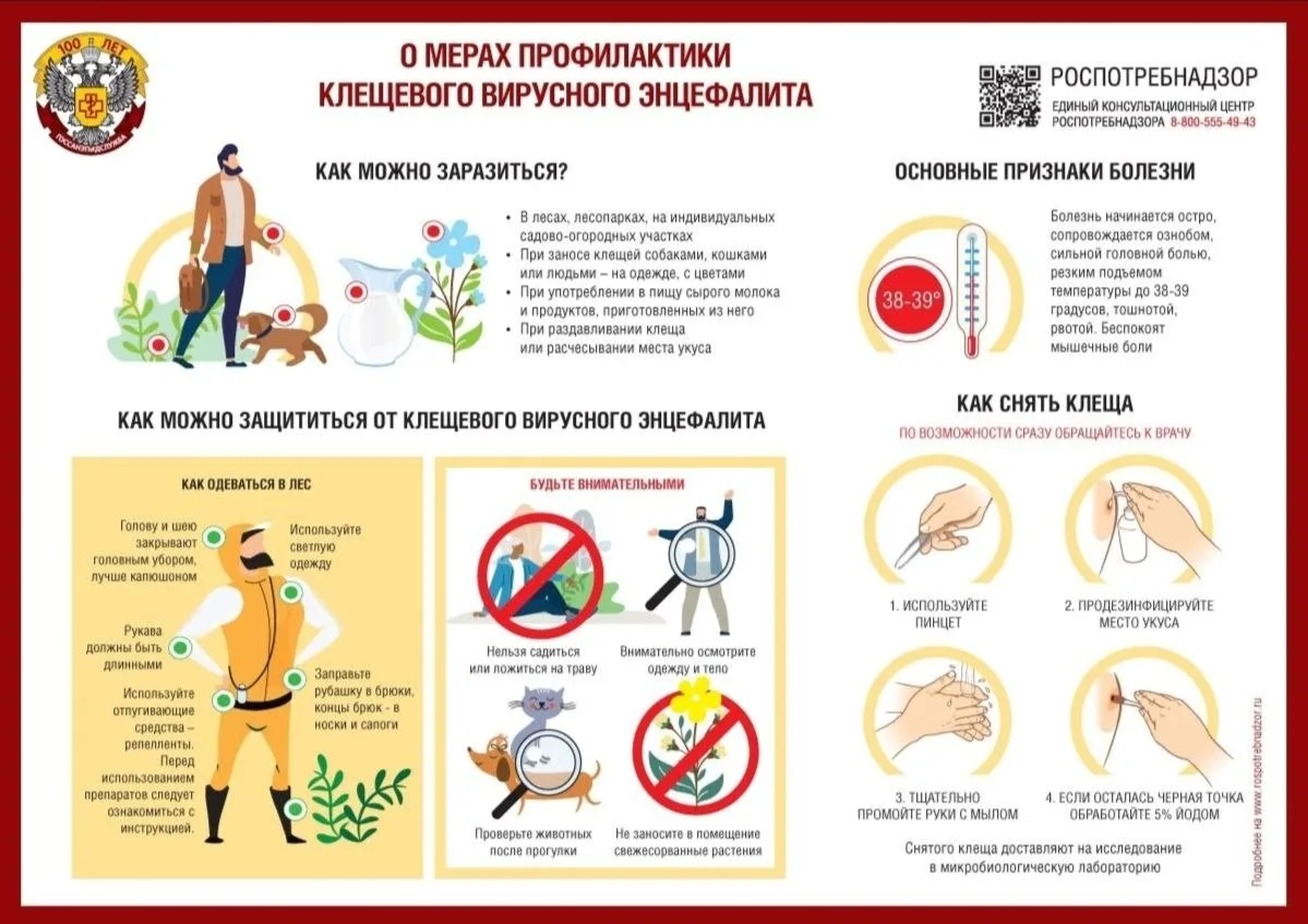 Завтра начинаются первые майские праздники. Погода располагает к выезду на природу. Считаем необходи