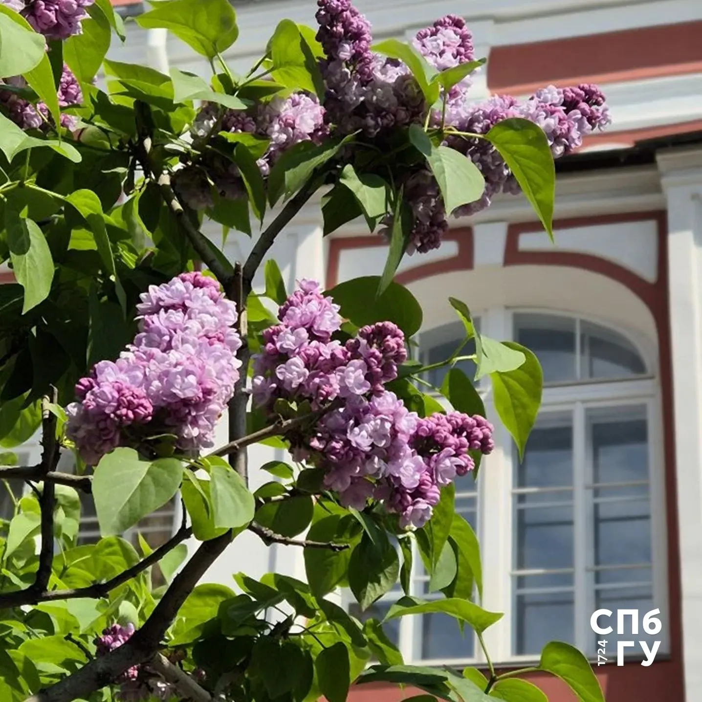 🎓 СПбГУ готовит специалистов в области педагогики и образования

В Санкт‑Петербургском университете