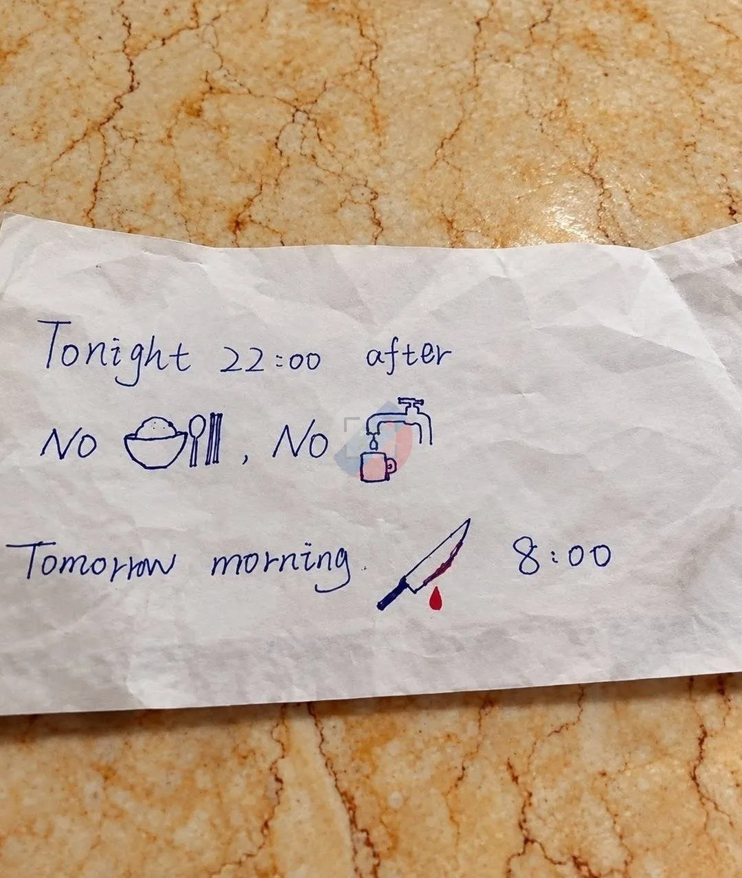 Находчивые бортпроводники China Southern Airlines придумали, как объясняться с российск...
