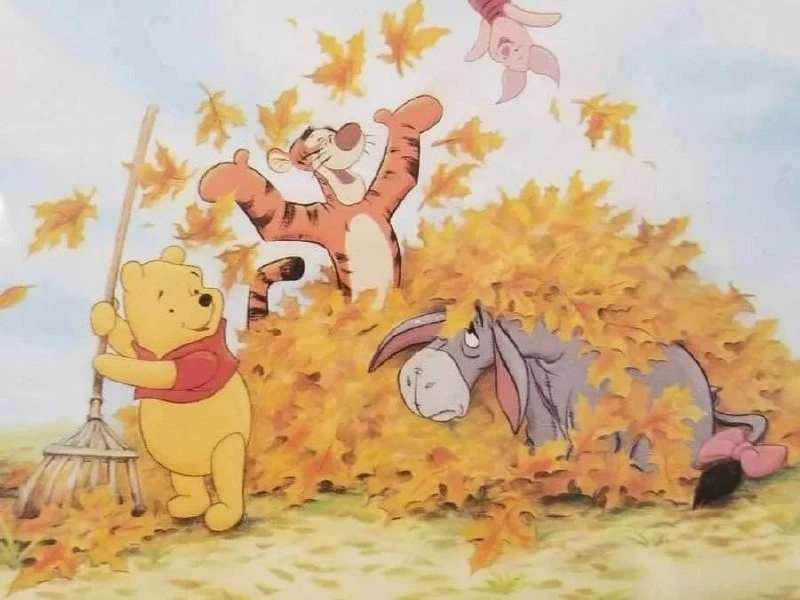 🍁 Доброе, осеннее утро, москвичи!
