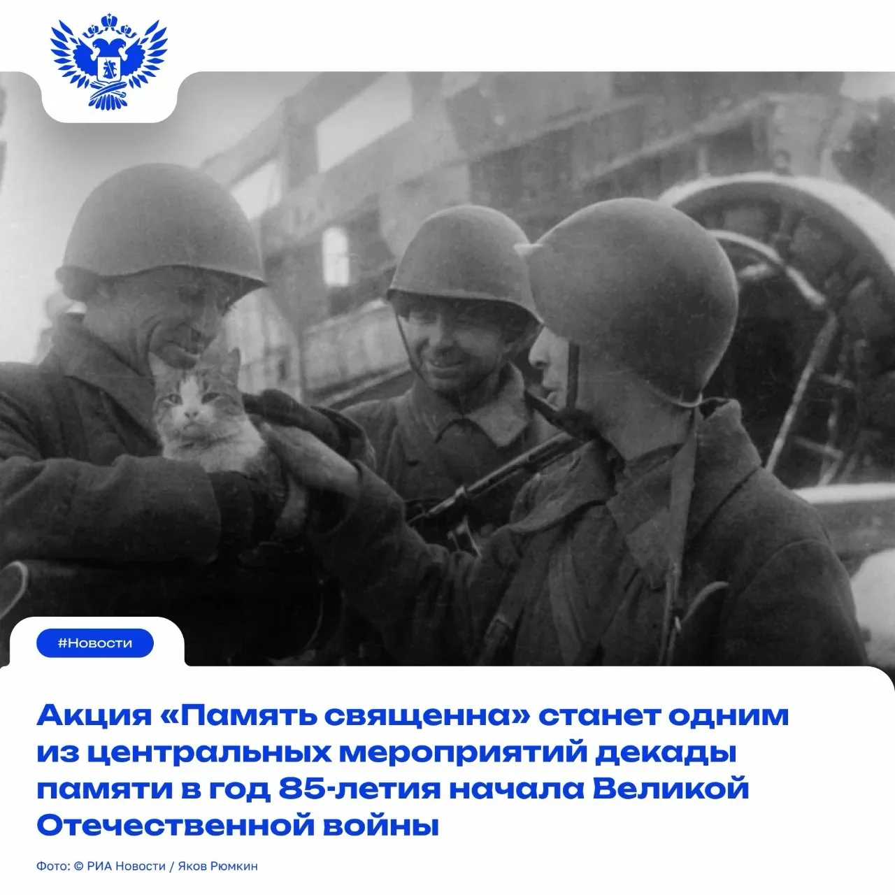 ✅ Сергей Кравцов присоединился к Всероссийскому телемосту «Память священна»