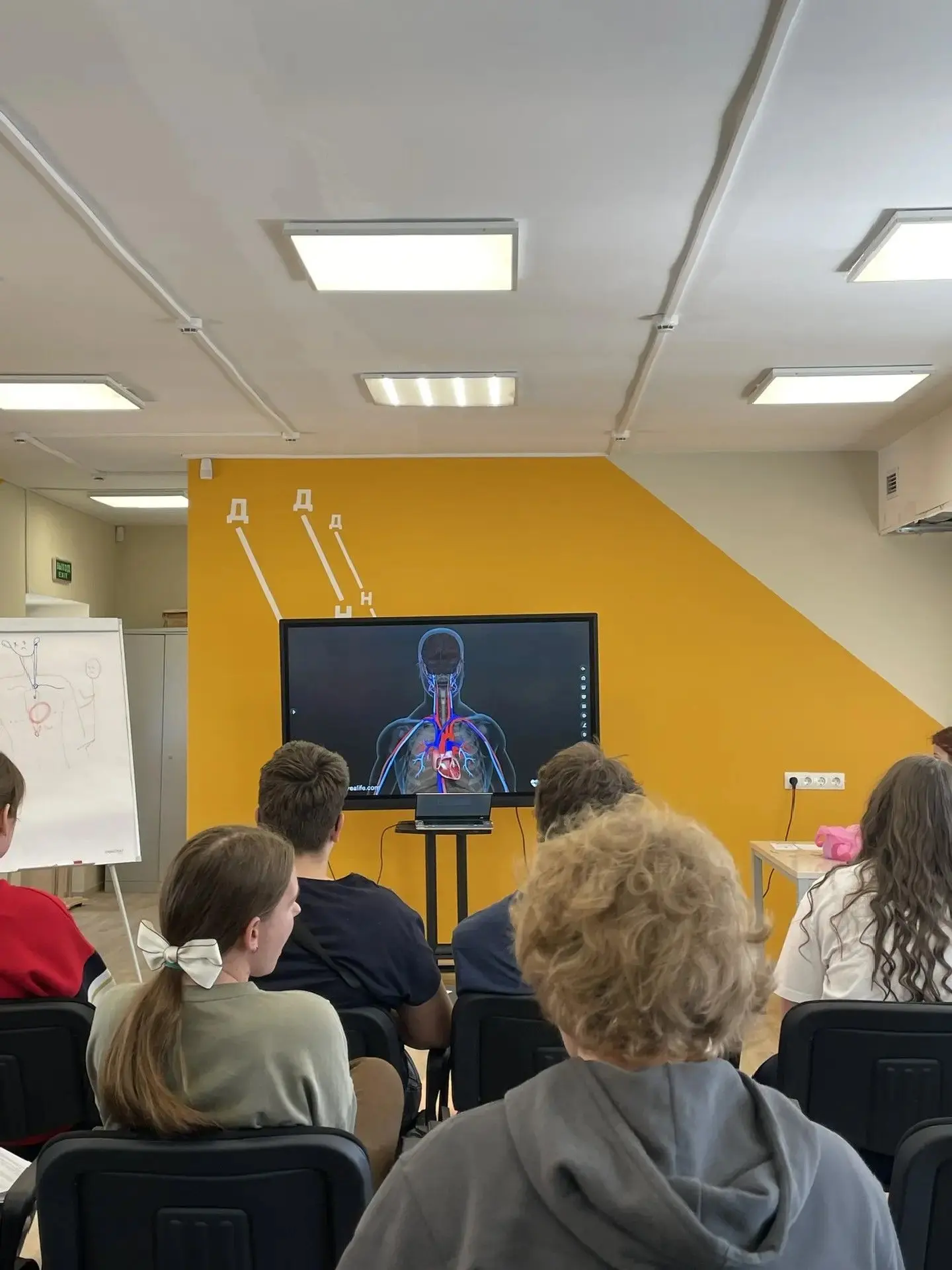 Школа медицинского профиля "MedSkills"

Закончились занятия по программе «MedSkills», в рамках котор