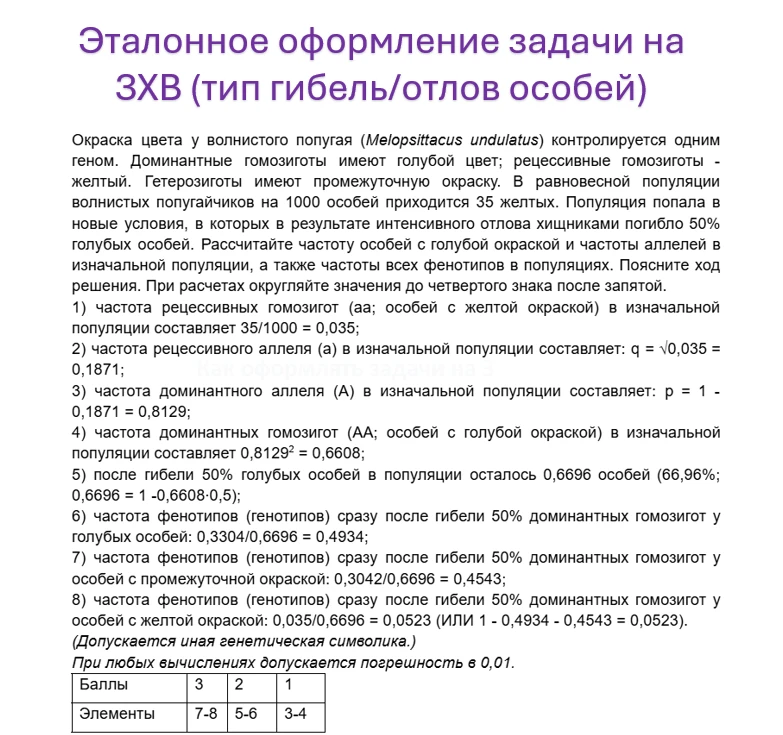 КАК ОФОРМЛЯТЬ ЗАДАЧИ НА ЗХВ - смотри в скрине.
