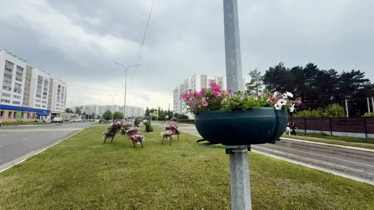 🌸Елабуга преображается с каждым днём

Сегодня сотрудники Управления благоустройства установили 84 к
