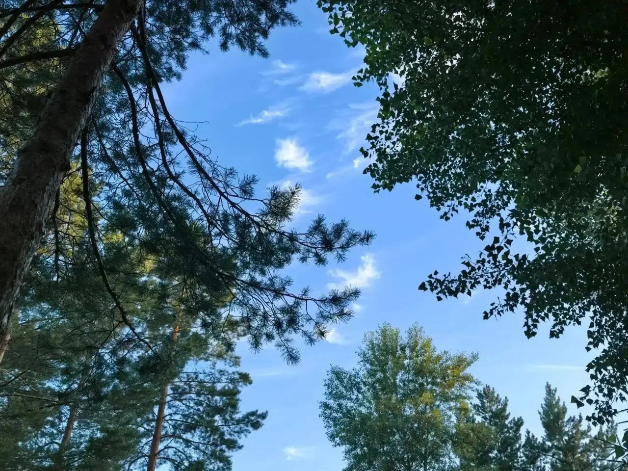 Доброе утро, друзья ☀️